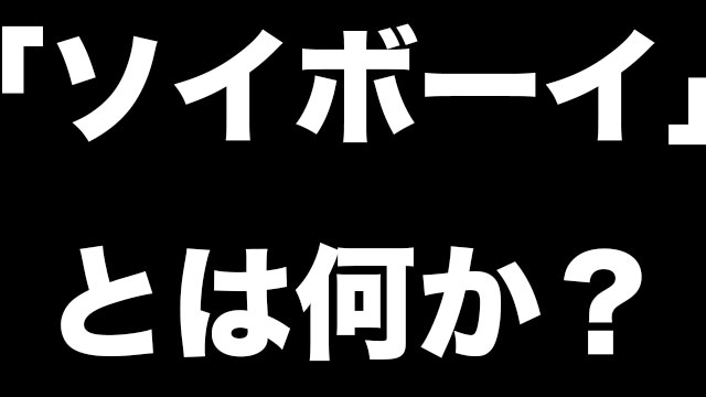 ソイボーイ Soy Boy の意味とは 日本で言うチー牛 調べてみた Neetola Com